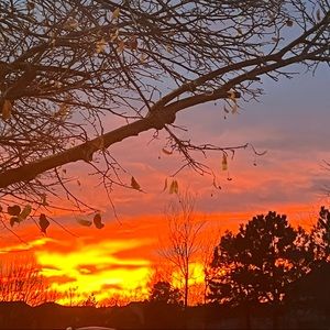 Meet your Posher, Halima